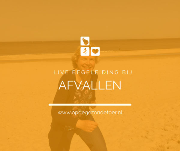 Live afvallen begeleiding